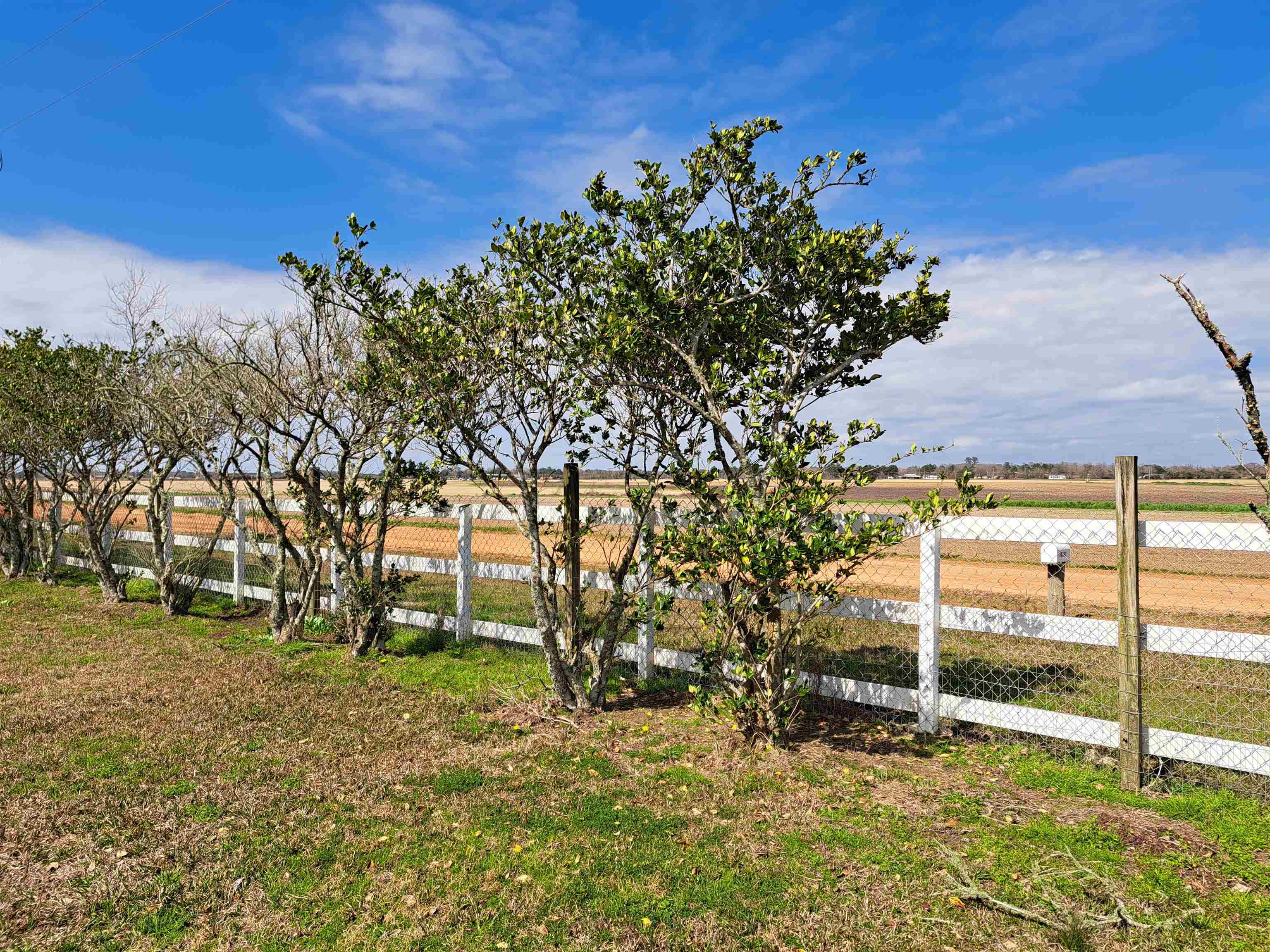 10332 Hartung Road Foley, AL 36535 - Photo 8 of 41 Yard