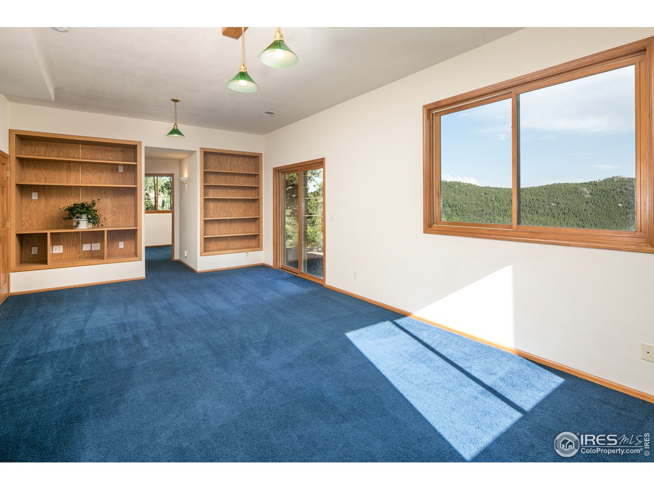 3612 Ridge Road Nederland, CO 80466 - Photo 26 of 40 More built-ins- there is incredible amount of storage in this home