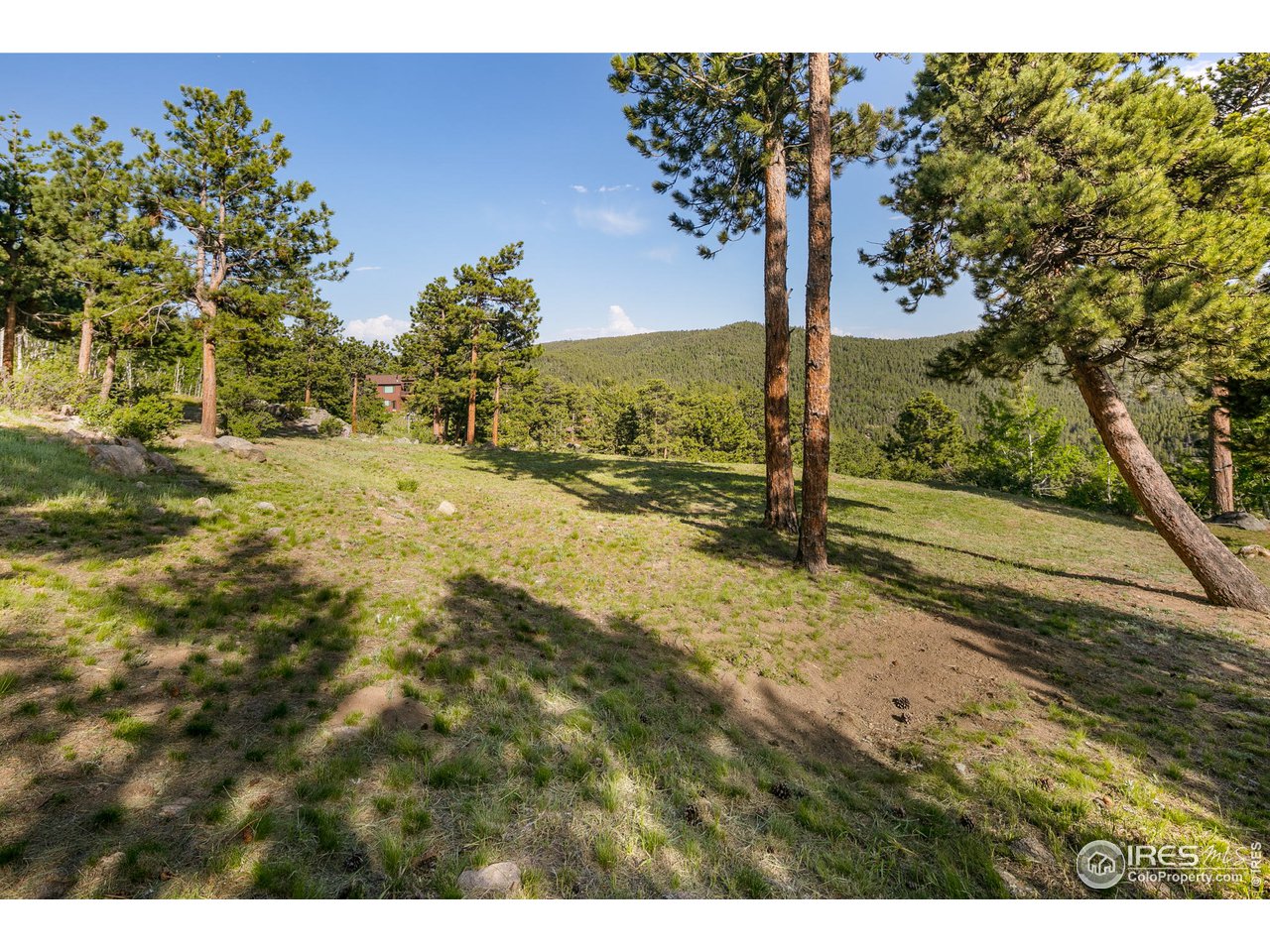3612 Ridge Road Nederland, CO 80466 - Photo 6 of 40 Magical mountain yard beautifully fire-mitigated