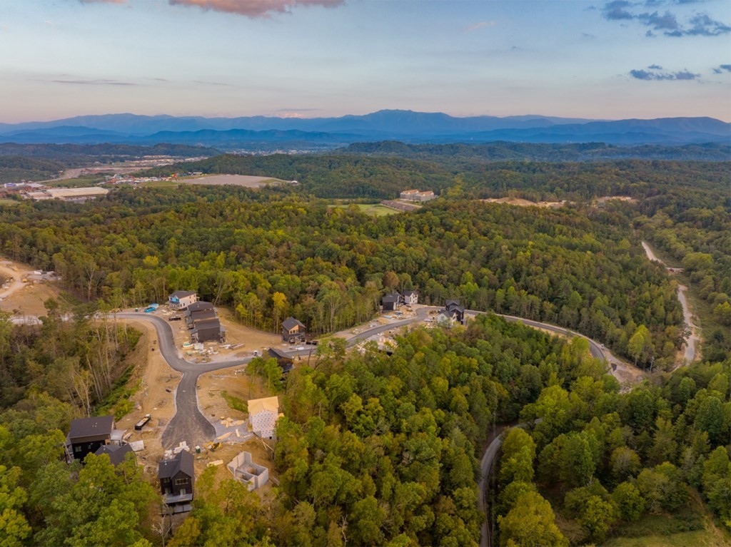 1249 Reedmont Way Sevierville, TN 37876 - Photo 29 of 34 Gallery Image 29