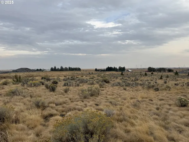a view of a bunch of trees in a field