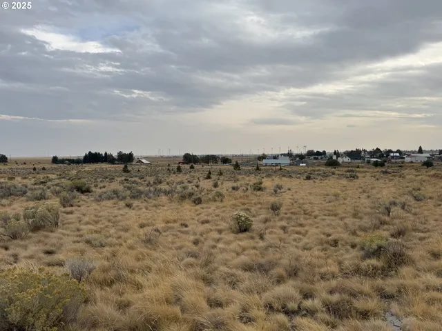 a view of a field with trees in background