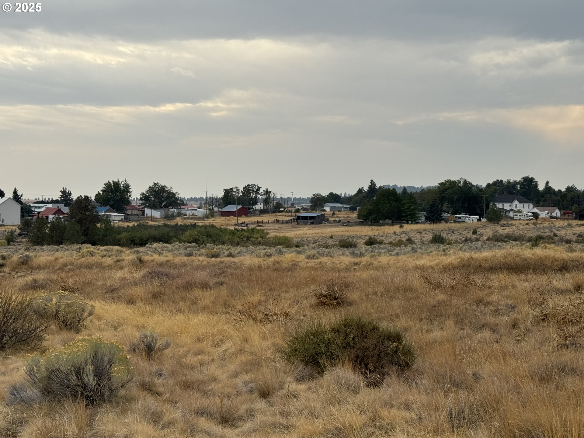 Cemetery Road Bickleton, WA 99322 - Photo 17 of 43 a view of a field with trees in background