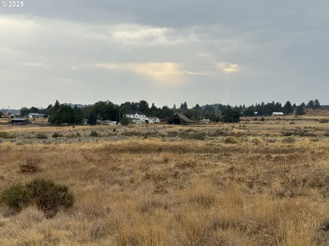 a view of a field with trees in background