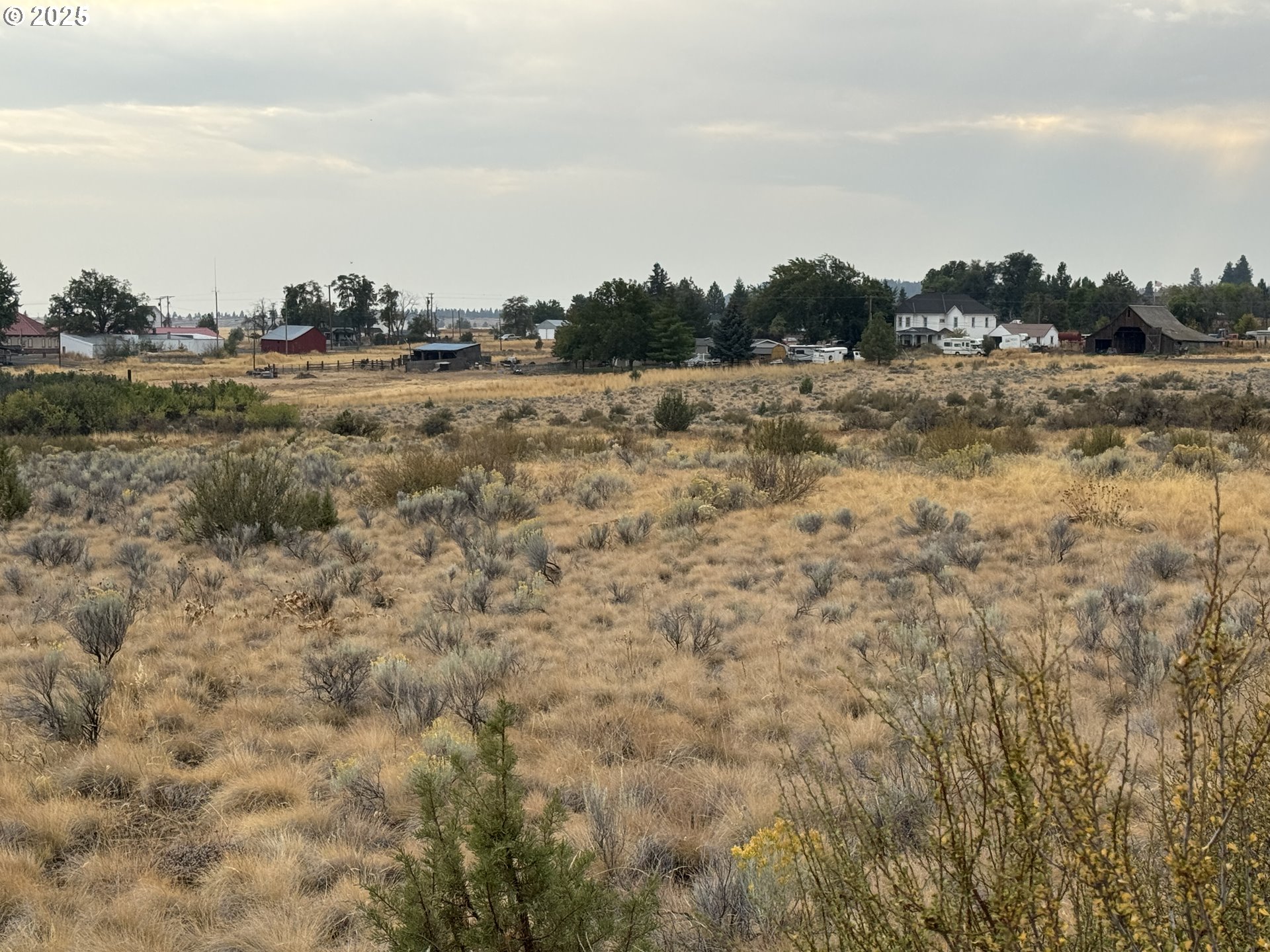 Cemetery Road Bickleton, WA 99322 - Photo 22 of 43 a view of a field with trees in background