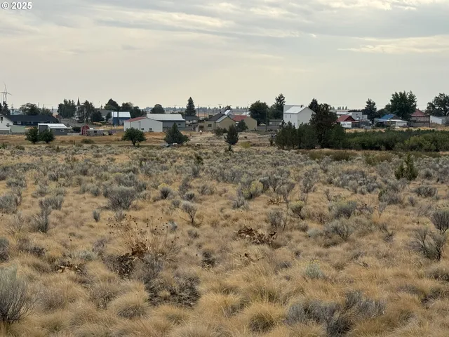 a view of a bunch of trees