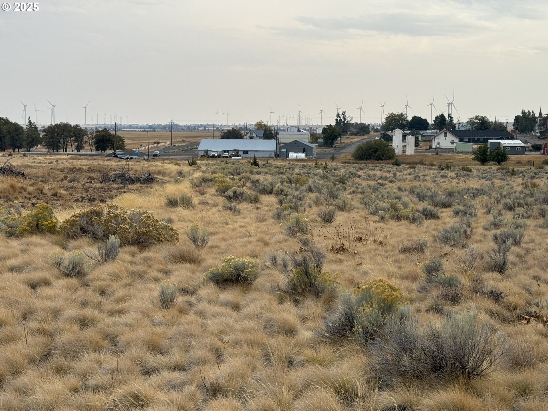 Cemetery Road Bickleton, WA 99322 - Photo 24 of 43 a view of a dry field with trees in the background