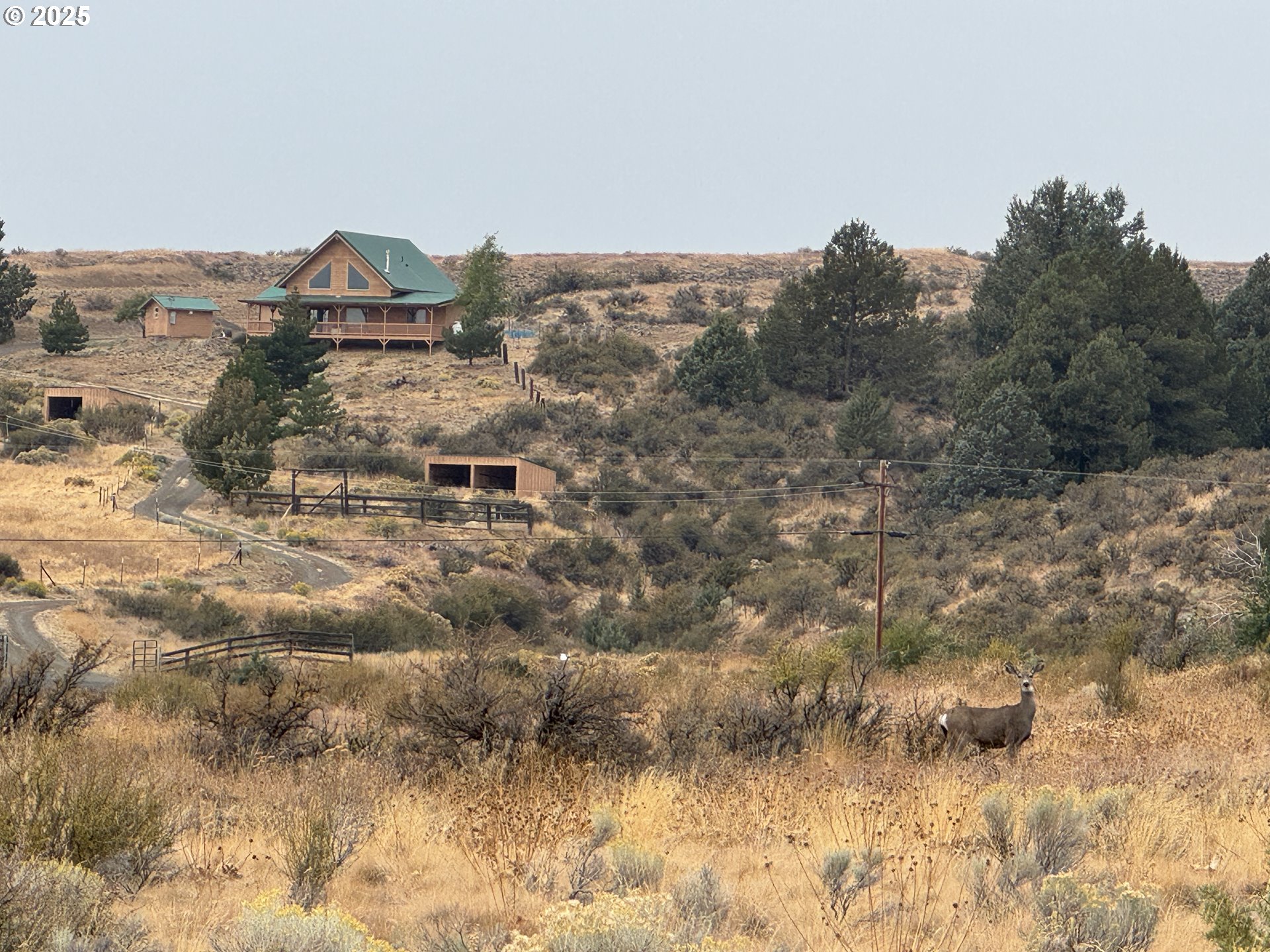 Cemetery Road Bickleton, WA 99322 - Photo 28 of 43 a view of a houses with a yard