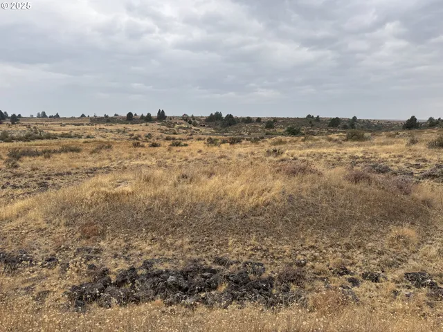 a view of a bunch of trees in all around