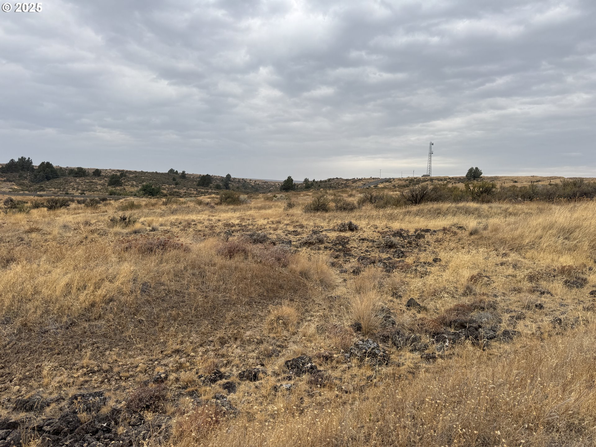 Cemetery Road Bickleton, WA 99322 - Photo 32 of 43 a view of a lake