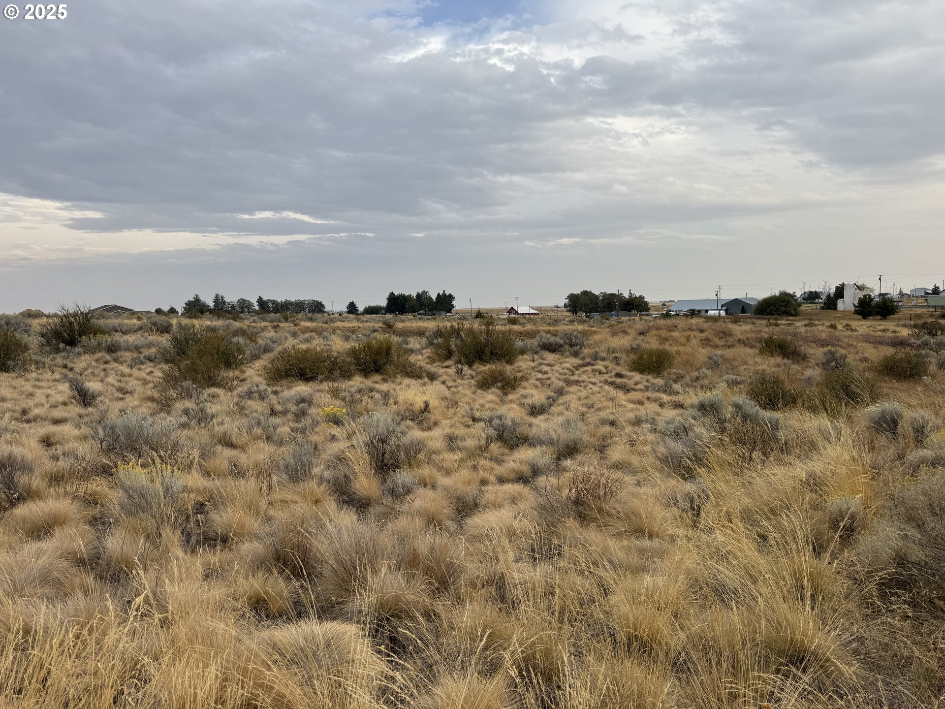 Cemetery Road Bickleton, WA 99322 - Photo 35 of 43 a view of a bunch of trees in all around