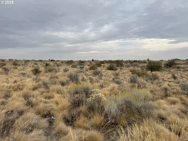 a view of city and mountain