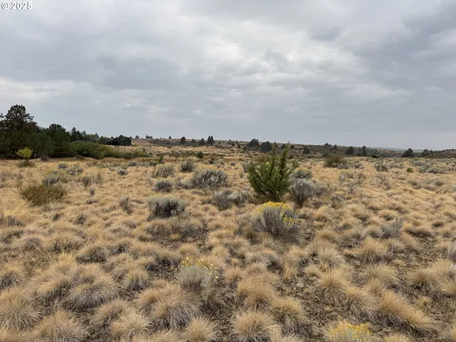 $129,000 | Cemetery Road, Bickleton, WA 99322