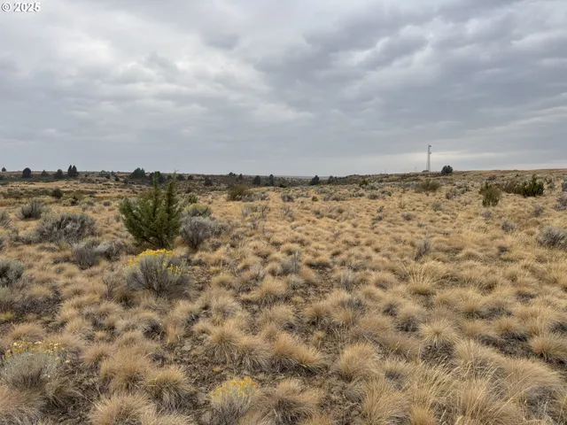 $129,000 | Cemetery Road, Bickleton, WA 99322