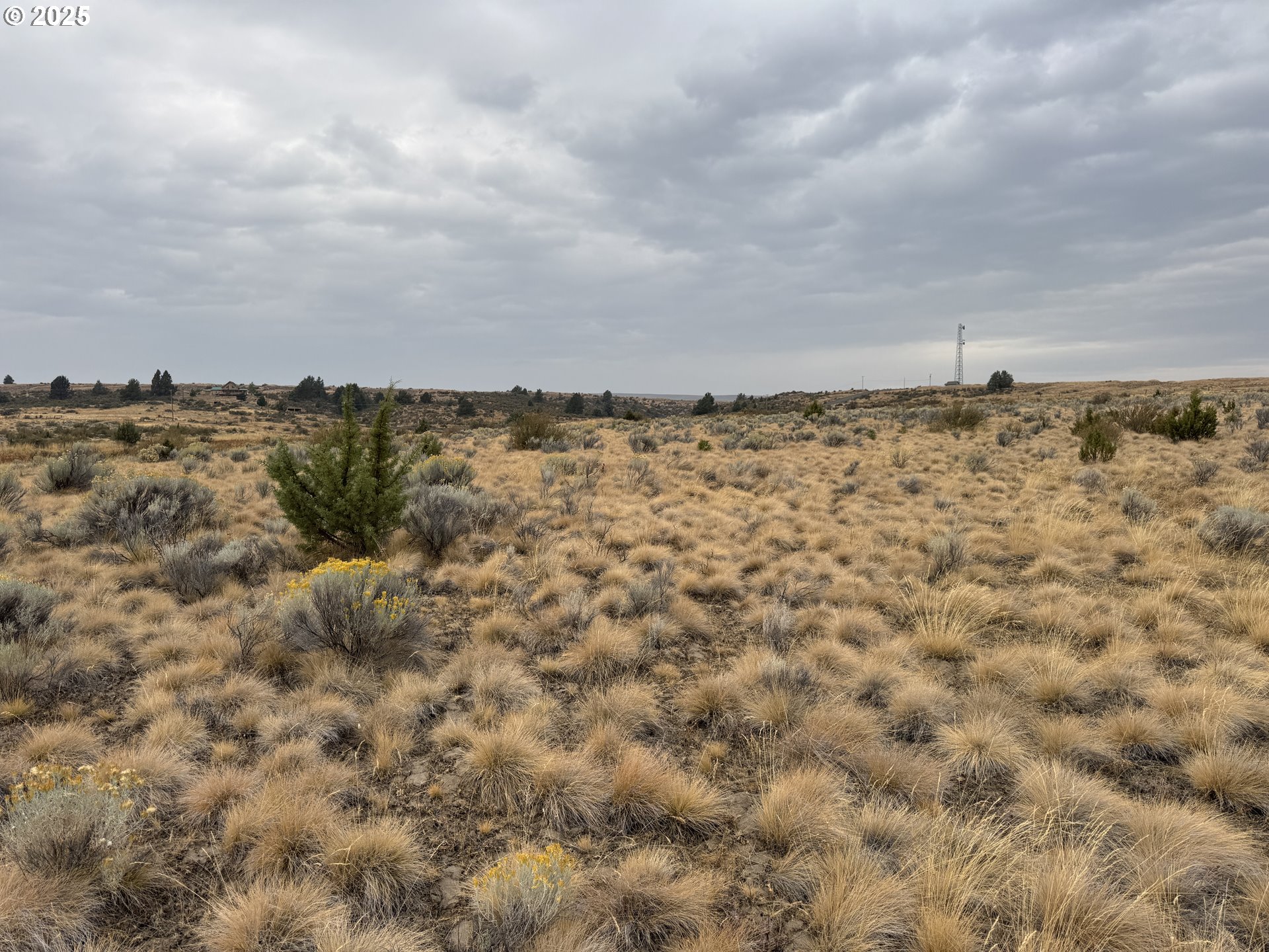 Cemetery Road Bickleton, WA 99322 - Photo 39 of 43 a view of a lake