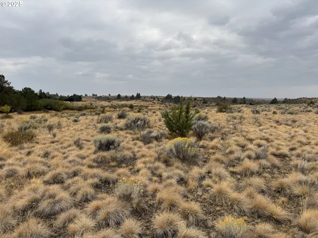 $129,000 | Cemetery Road, Bickleton, WA 99322