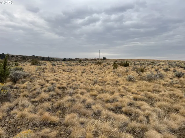 $129,000 | Cemetery Road, Bickleton, WA 99322