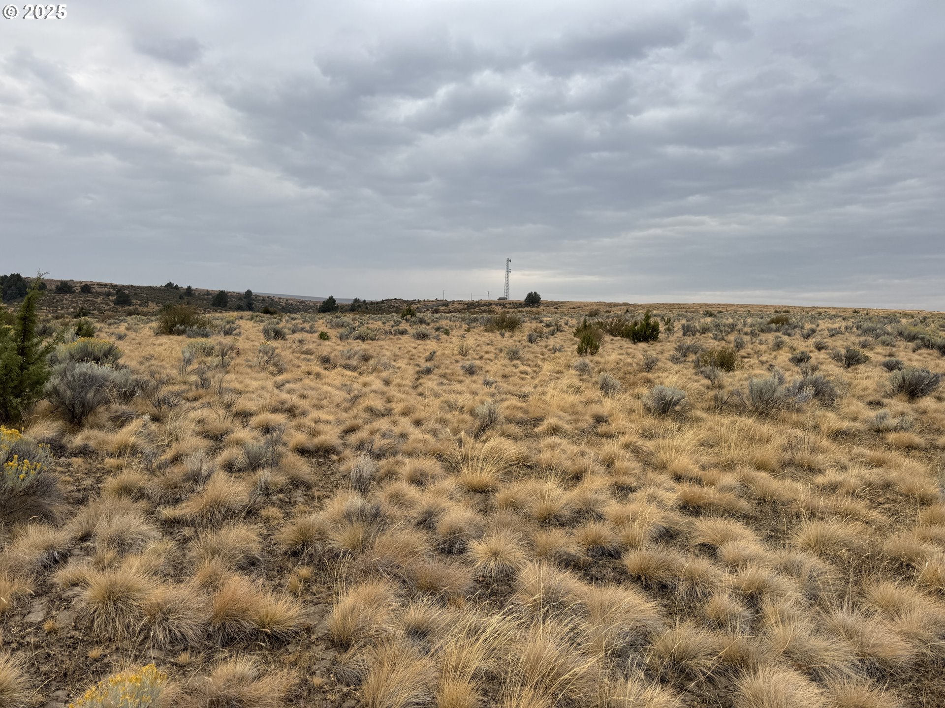 Cemetery Road Bickleton, WA 99322 - Photo 41 of 43