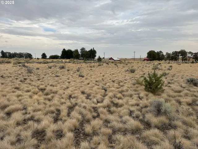 a view of a dry yard with wooden fence