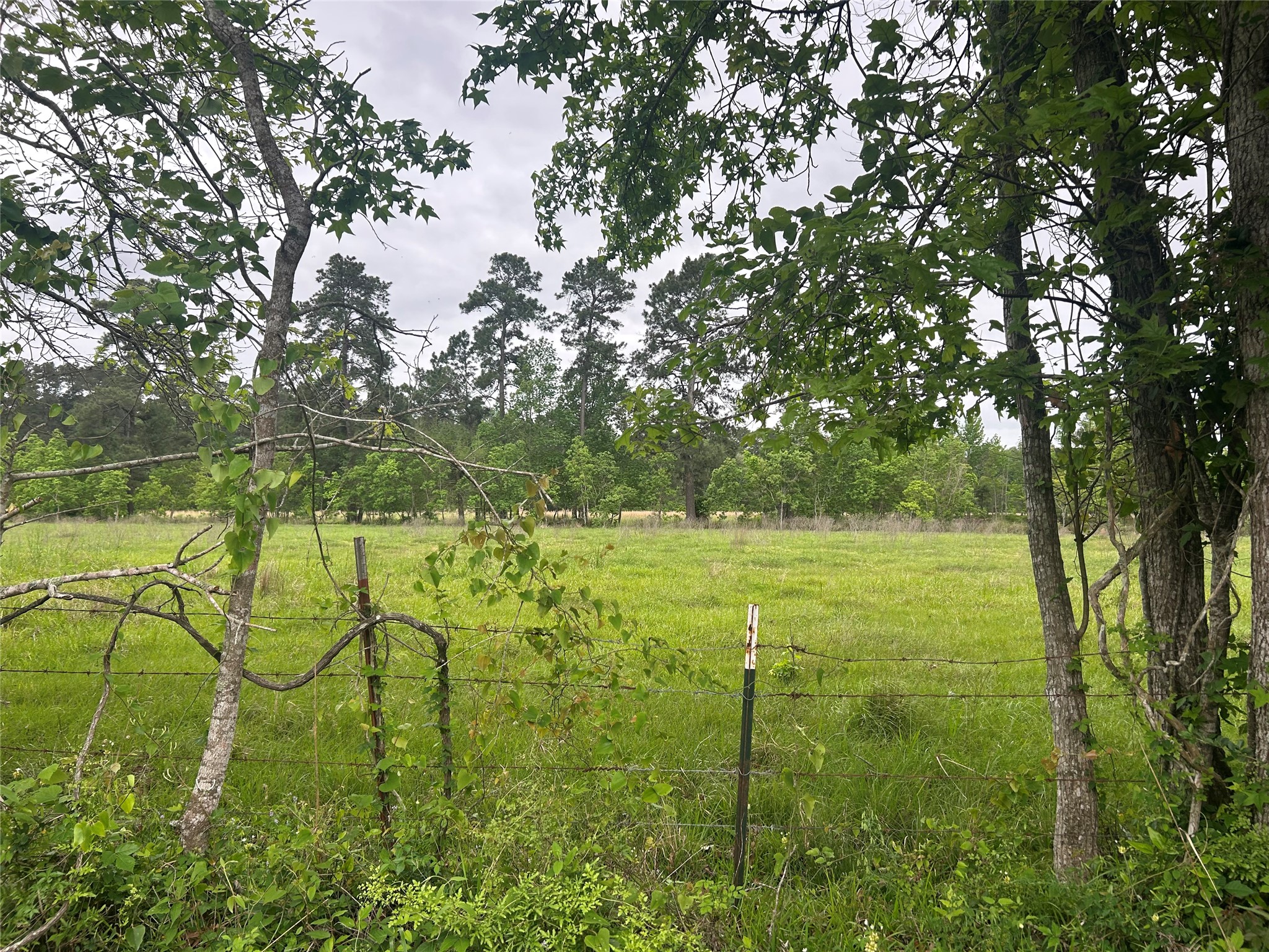 Lot 2 Minnie West Road Hull, TX 77564 - Photo 5 of 13