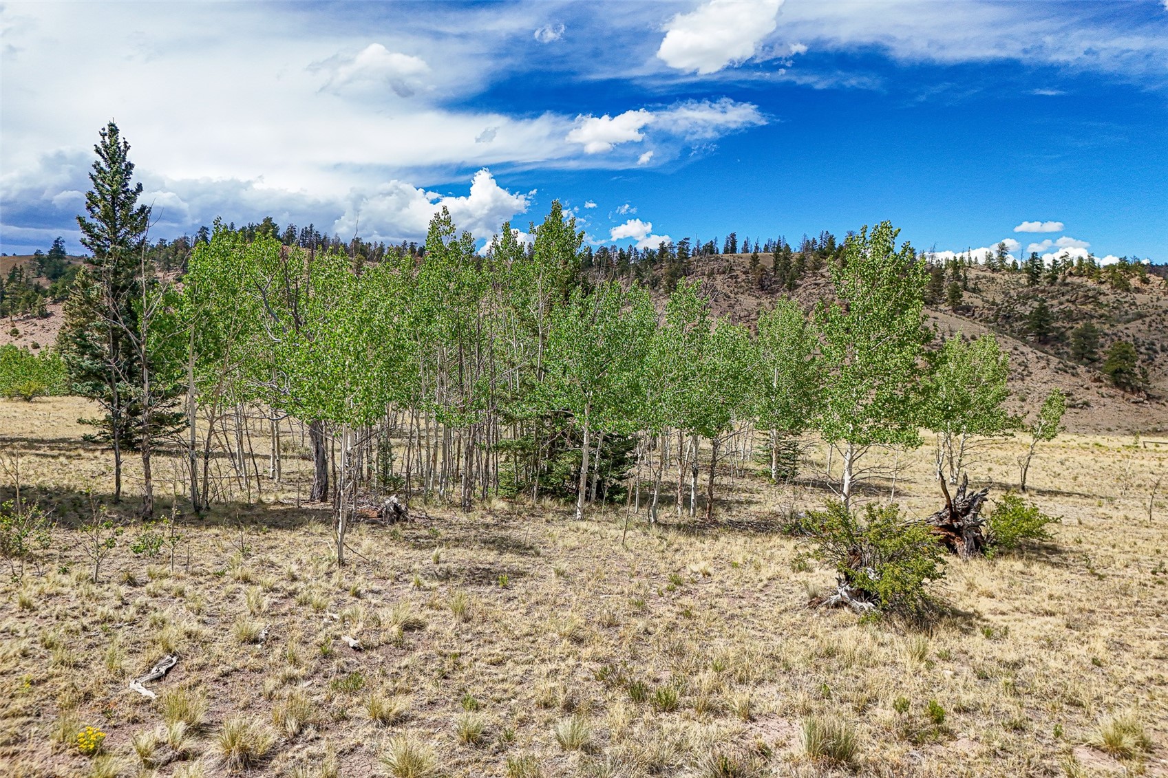 1111 Latigo Loop Hartsel, CO 80449 - Photo 13 of 20