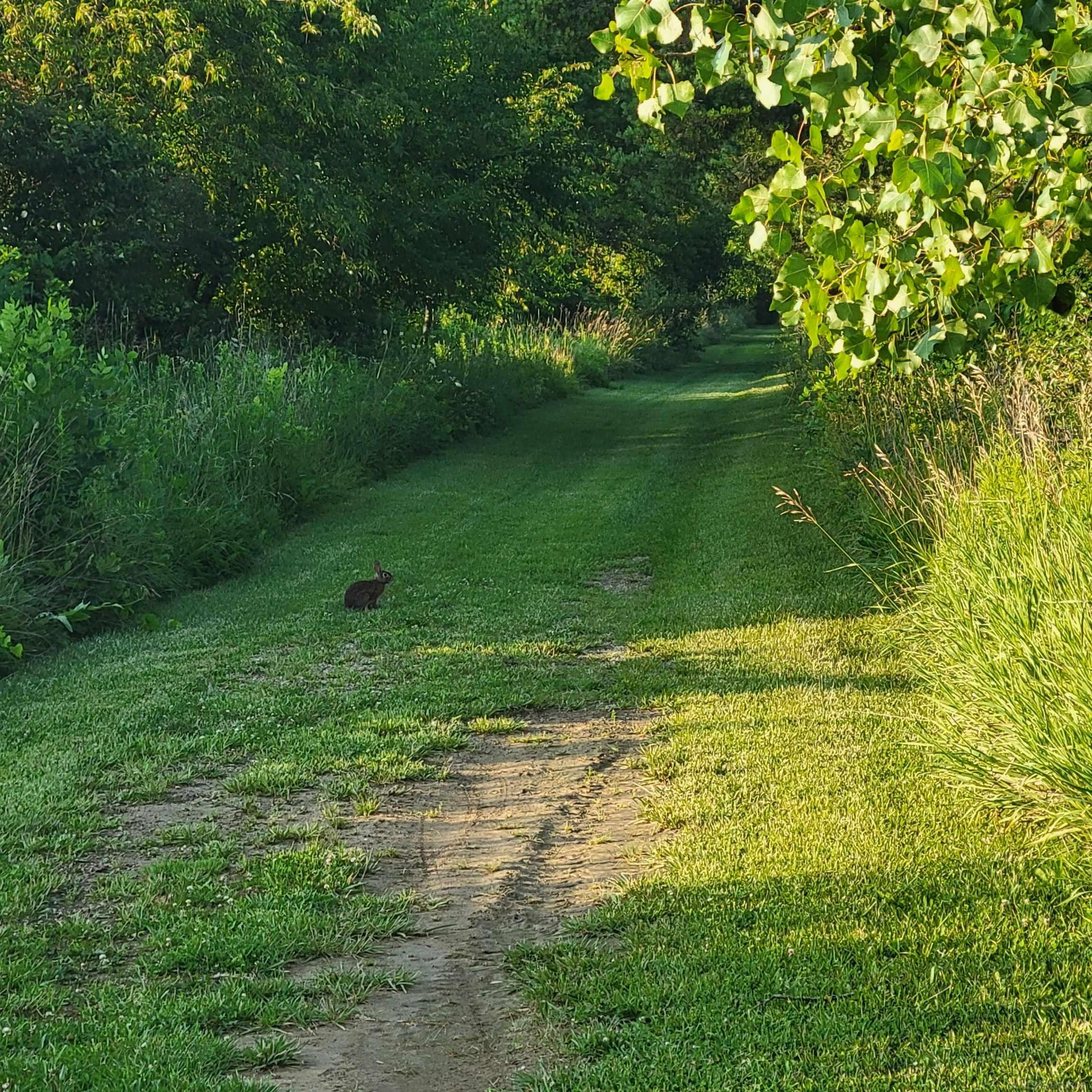 5886 Hunters Creek Road Imlay City, MI 48444 - Photo 58 of 59 Gallery Image 58