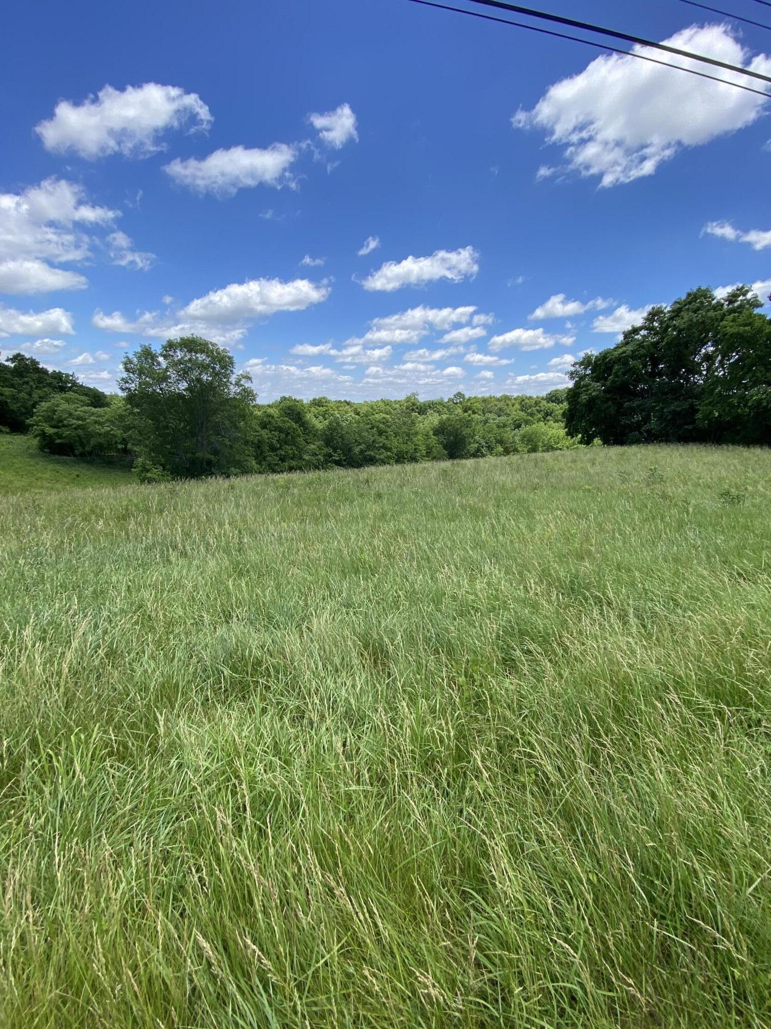 20-ac Fords Mill Road Dry Ridge, KY 41035 - Photo 2 of 5