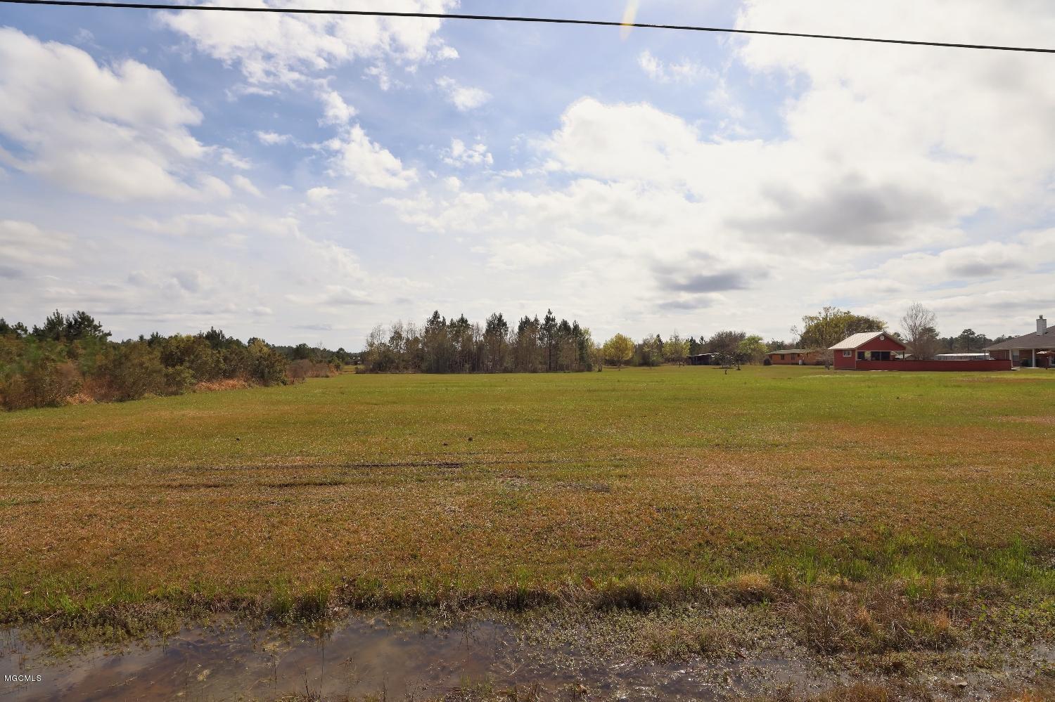17920 Rayford Shumock Road Moss Point, MS 39562 - Photo 23 of 26 Yard