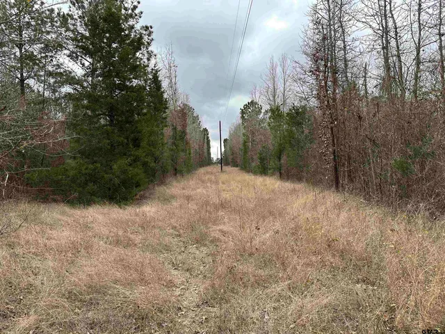a view of backyard with green space