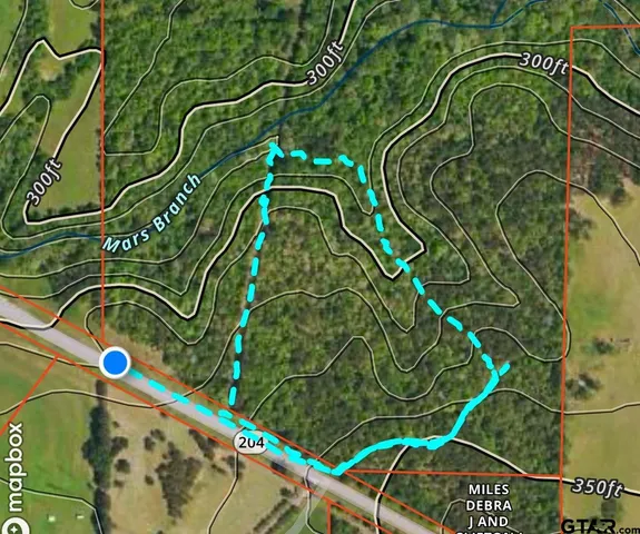 a black and white photo of a park