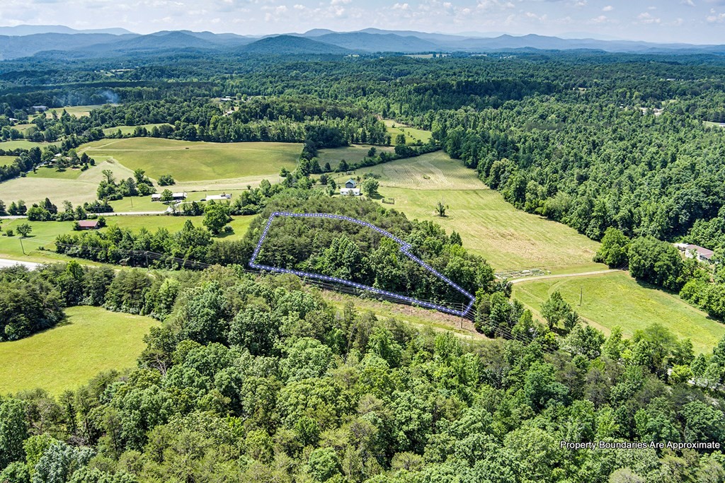 909 Old State Road Tellico Plains, TN 37385 - Photo 6 of 9 Gallery Image 6