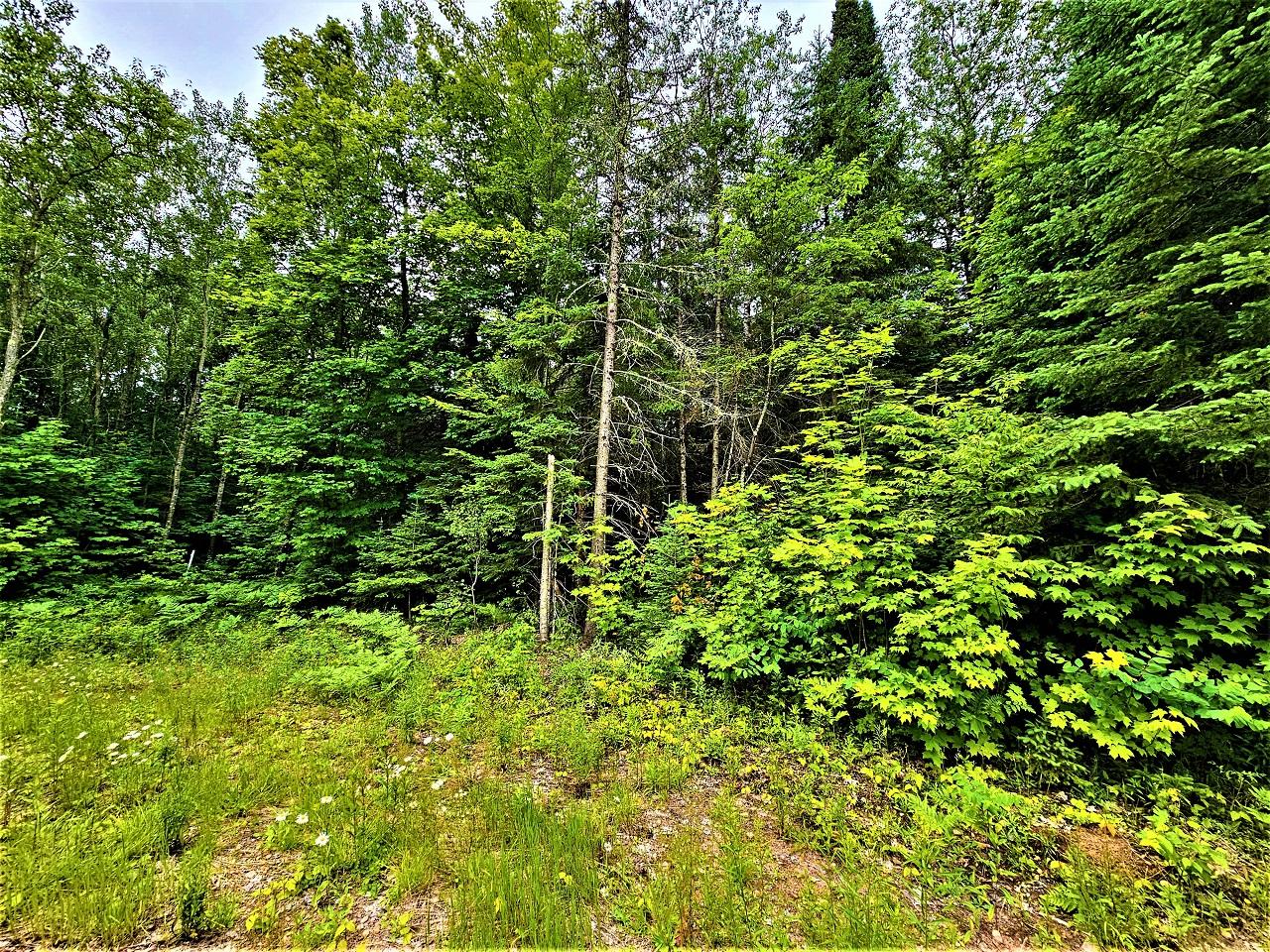 Lot 2-off Lot 2-off Gerry Road Hurley, WI 54534 - Photo 2 of 12 Gallery Image 2