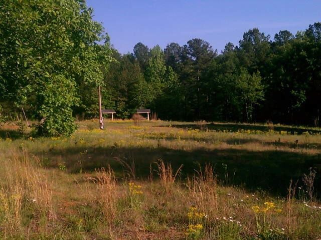 868 Kelly Farm Road Newnan, GA 30265 - Photo 1 of 1 Gallery Image 1