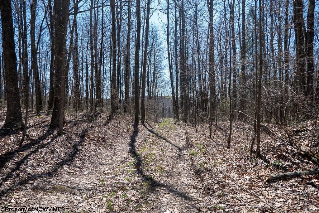 Lot 1 Fairfax Mine Road Reedsville, WV 26547 - Photo 40 of 49 Gallery Image 40
