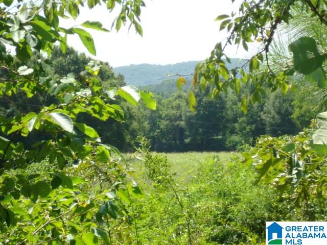 0 Dabbs Road, Unit 19 & 20 Oxford, AL 36203 - Photo 11 of 33