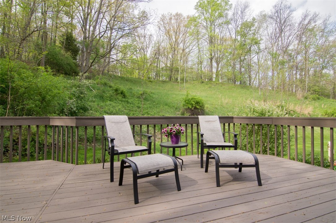 360 Miles Road Chagrin Falls, OH 44022 - Photo 31 of 35 Gallery Image 31