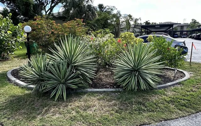 a view of a park with swings and slides