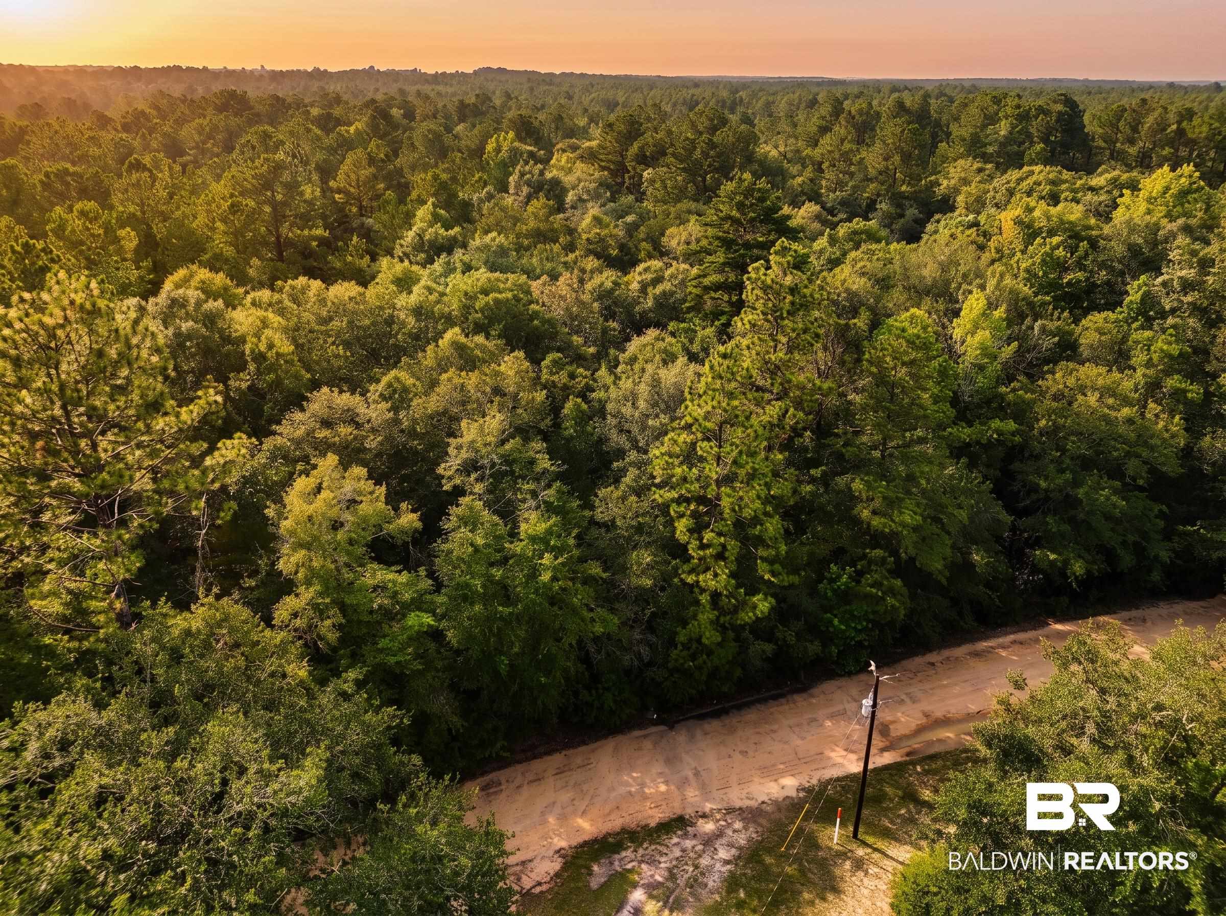 0 Doyle Morgan Road Samson, AL 36477 - Photo 20 of 22