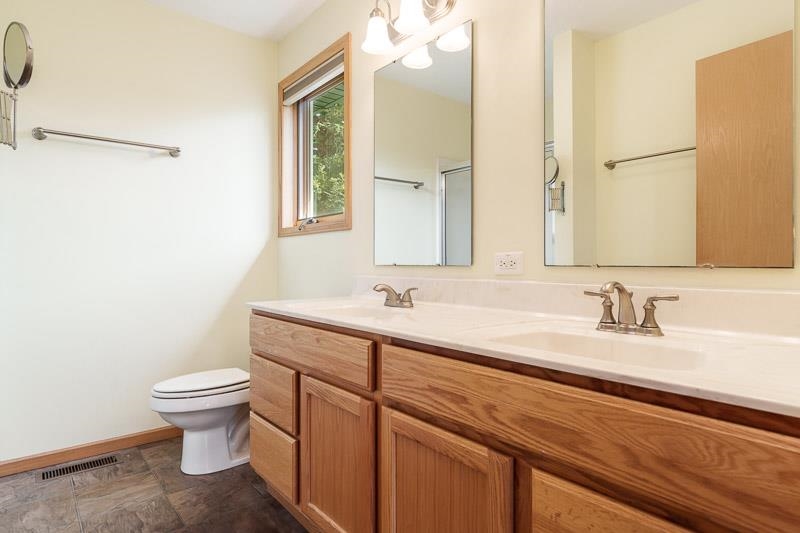 4585 South Chana Road Chana, IL 61015 - Photo 25 of 76 a bathroom with a granite countertop sink a toilet and a mirror