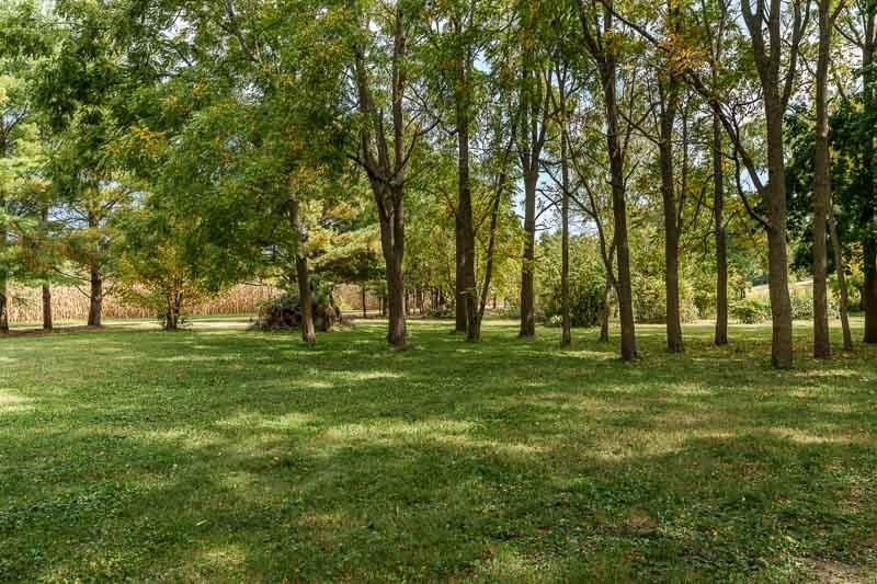 4585 South Chana Road Chana, IL 61015 - Photo 60 of 76 a big yard with lots of trees