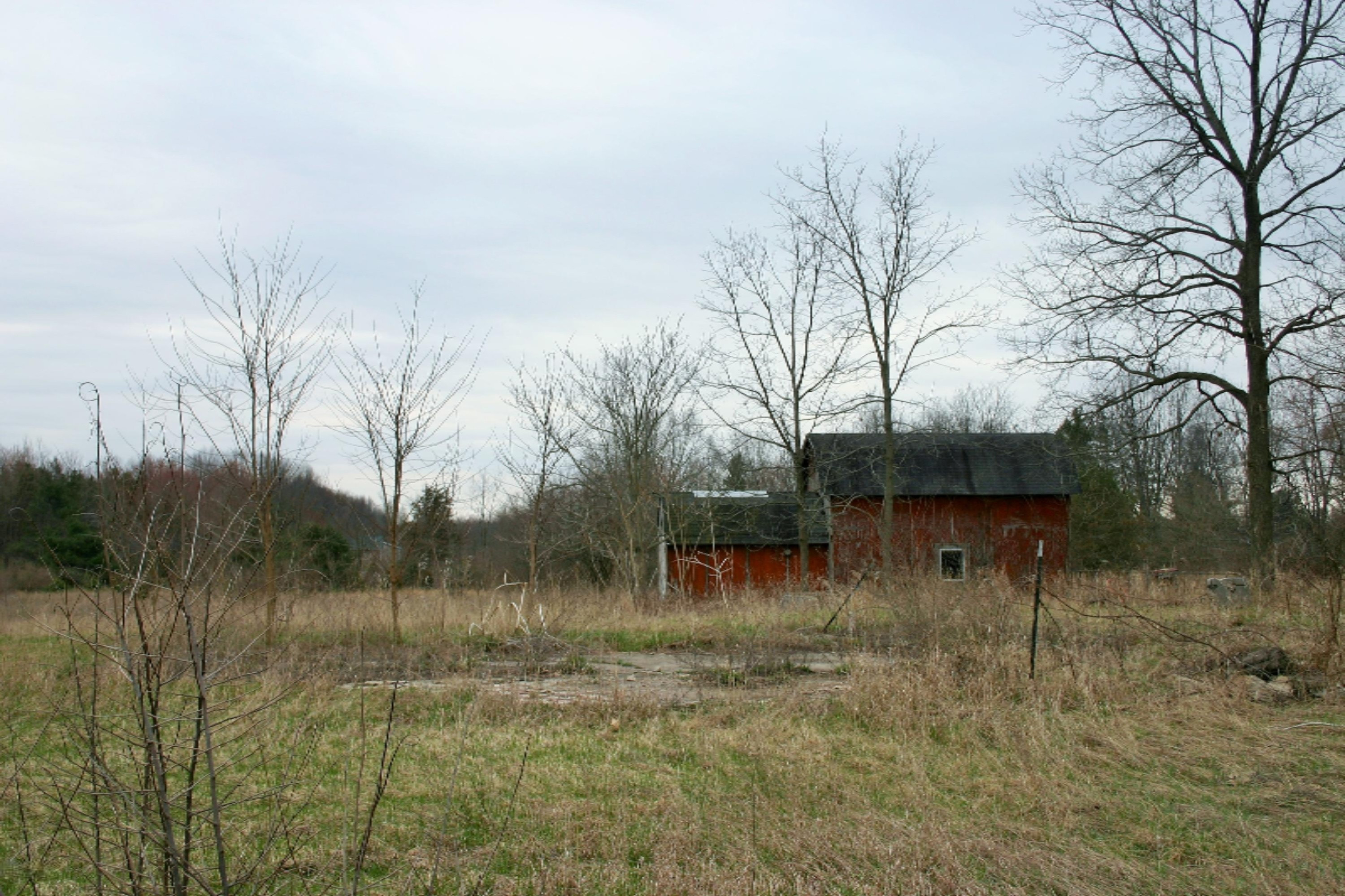 2993 Cloverdale Road Delton, MI 49046 - Photo 4 of 4 IMG_4078