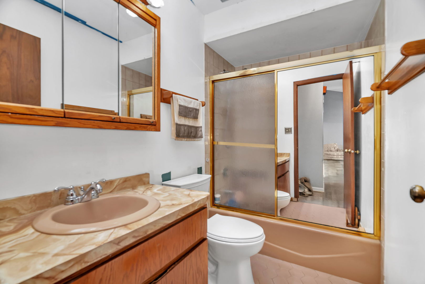 13743 West Carefree Drive Homer Glen, IL 60491 - Photo 11 of 20