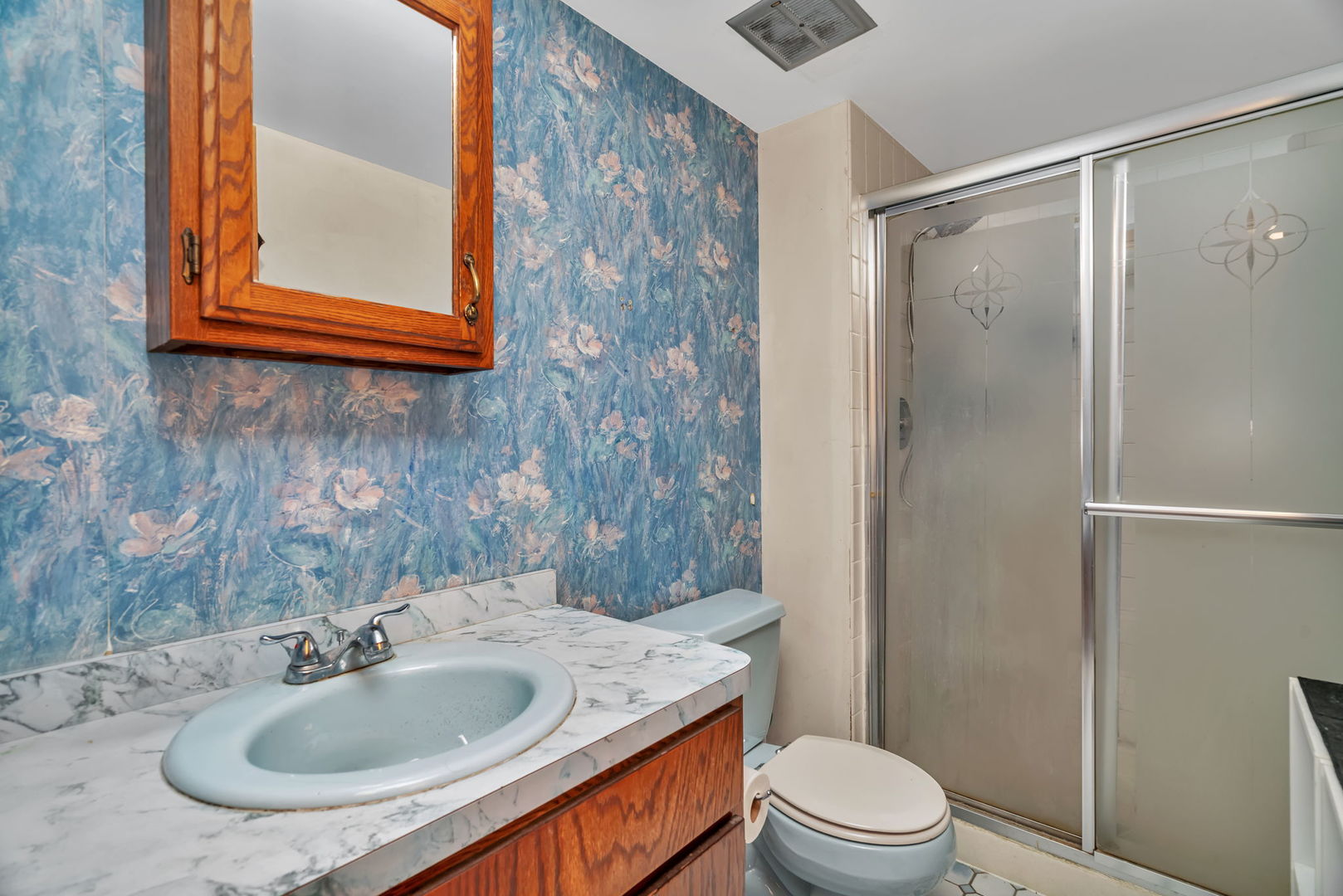 13743 West Carefree Drive Homer Glen, IL 60491 - Photo 16 of 20