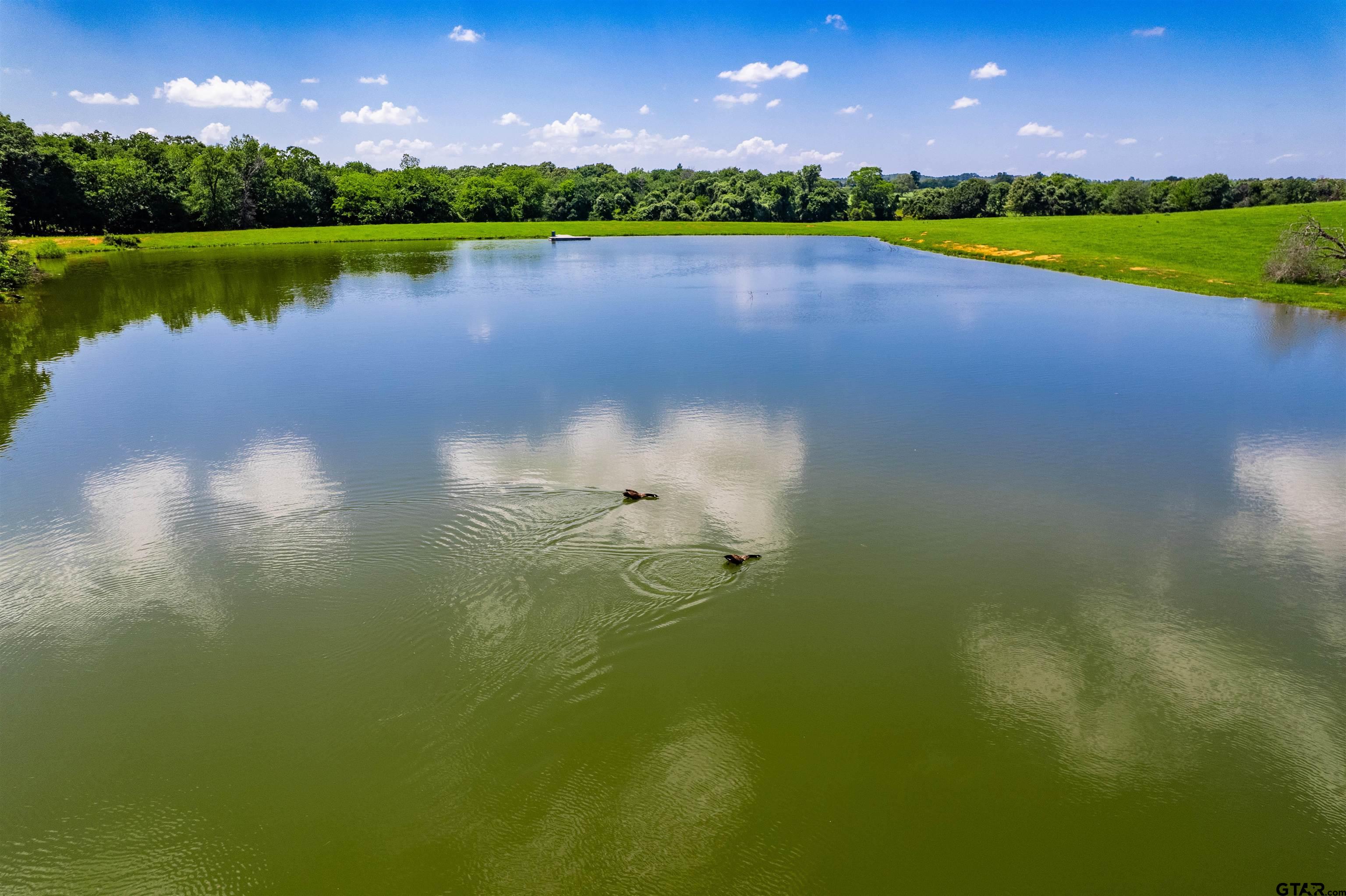 8970 Fm 59 Athens, TX 75751 - Photo 5 of 14 a view of a lake and a yard