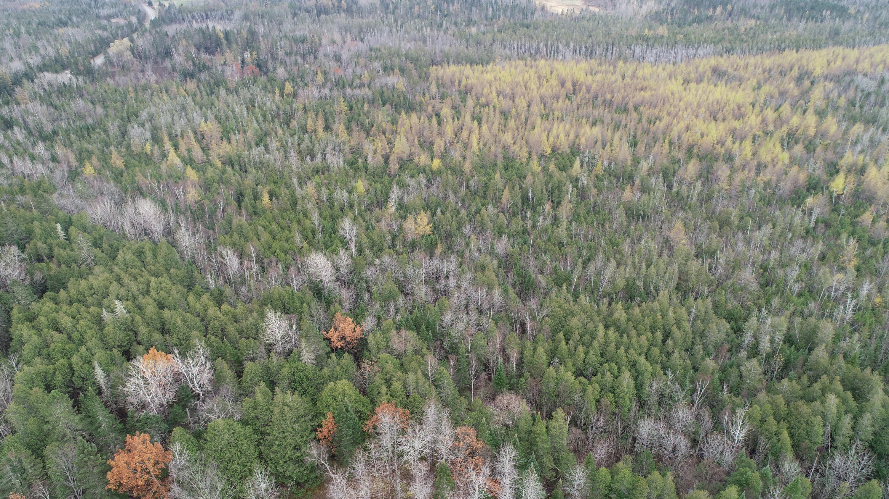 Lot 18 U.S. Rte 2 Newport, ME 04953 - Photo 11 of 62
