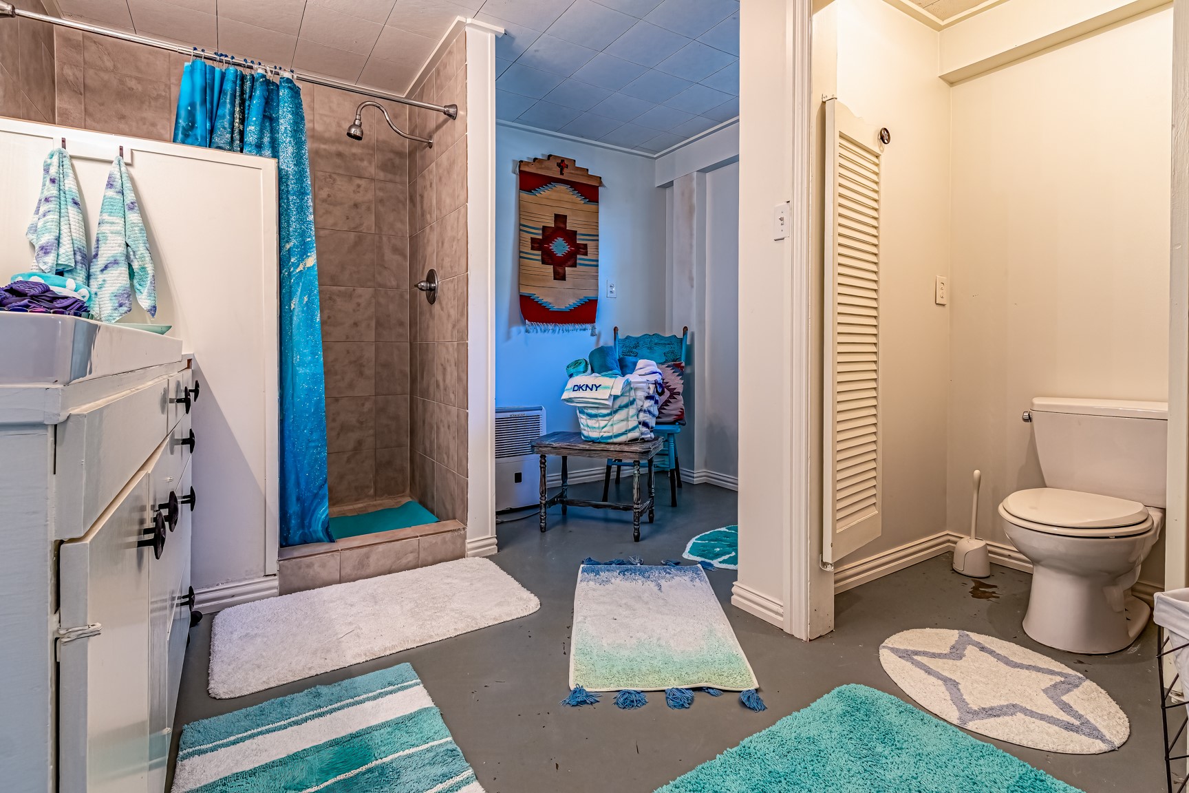 480 Johnson Road Coldspring, TX 77331 - Photo 48 of 49 Downstairs full bath with a walk-in shower and lots of storage making this home completely accessible.