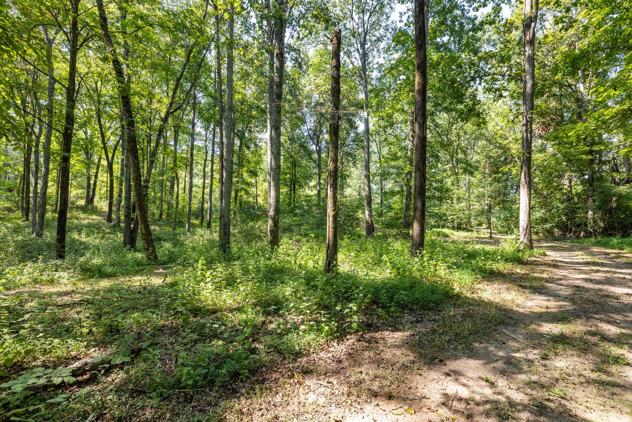 6821 Hendrix Road College Grove, TN 37046 - Photo 62 of 69 Gallery Image 62