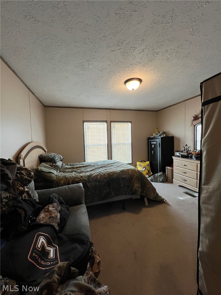 53720 Highway 681 Reedsville, OH 45772 - Photo 9 of 25 Room featuring neutral-toned carpeting and horizontal wall paneling
