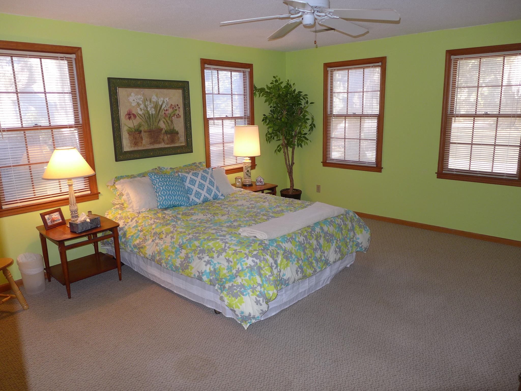 698 Outback Lane Edisto Island, SC 29438 - Photo 11 of 20 P1010278