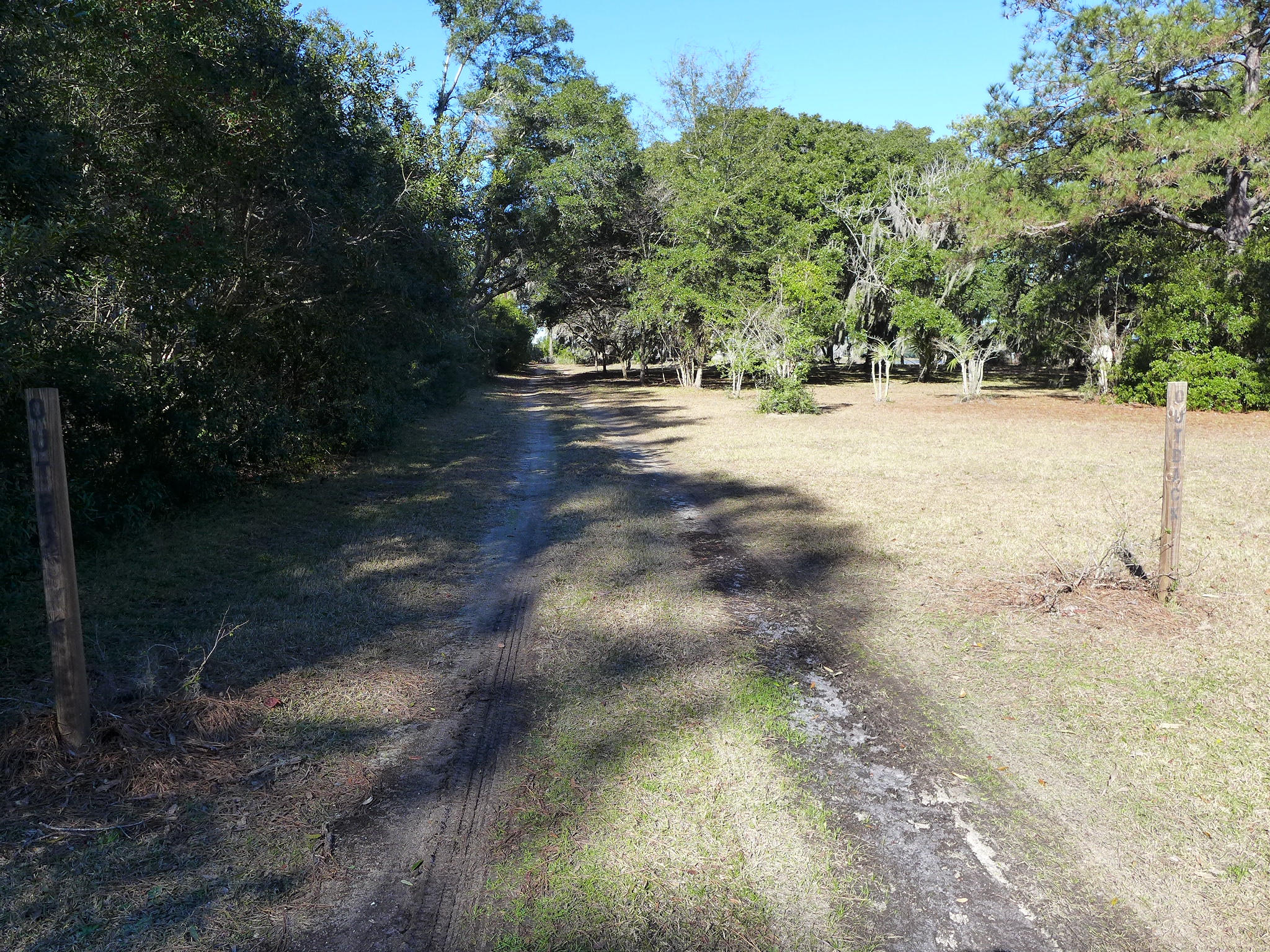 698 Outback Lane Edisto Island, SC 29438 - Photo 4 of 20 P1010254